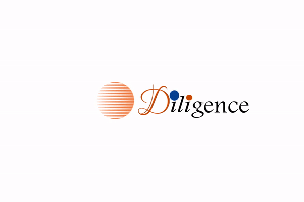 Diligence: Digital Marketing Agency